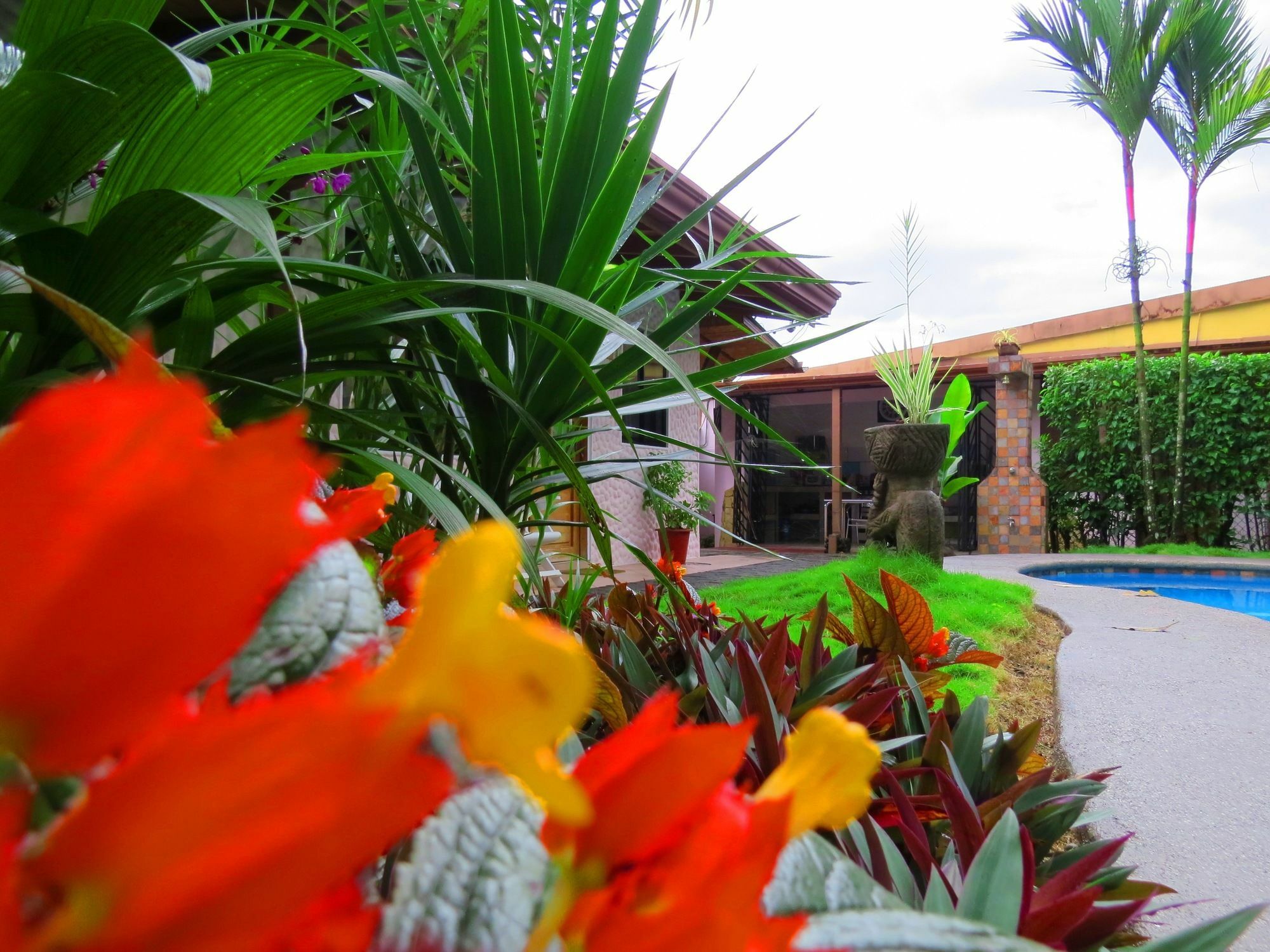 Hotel Vagabondo La Fortuna Exterior photo